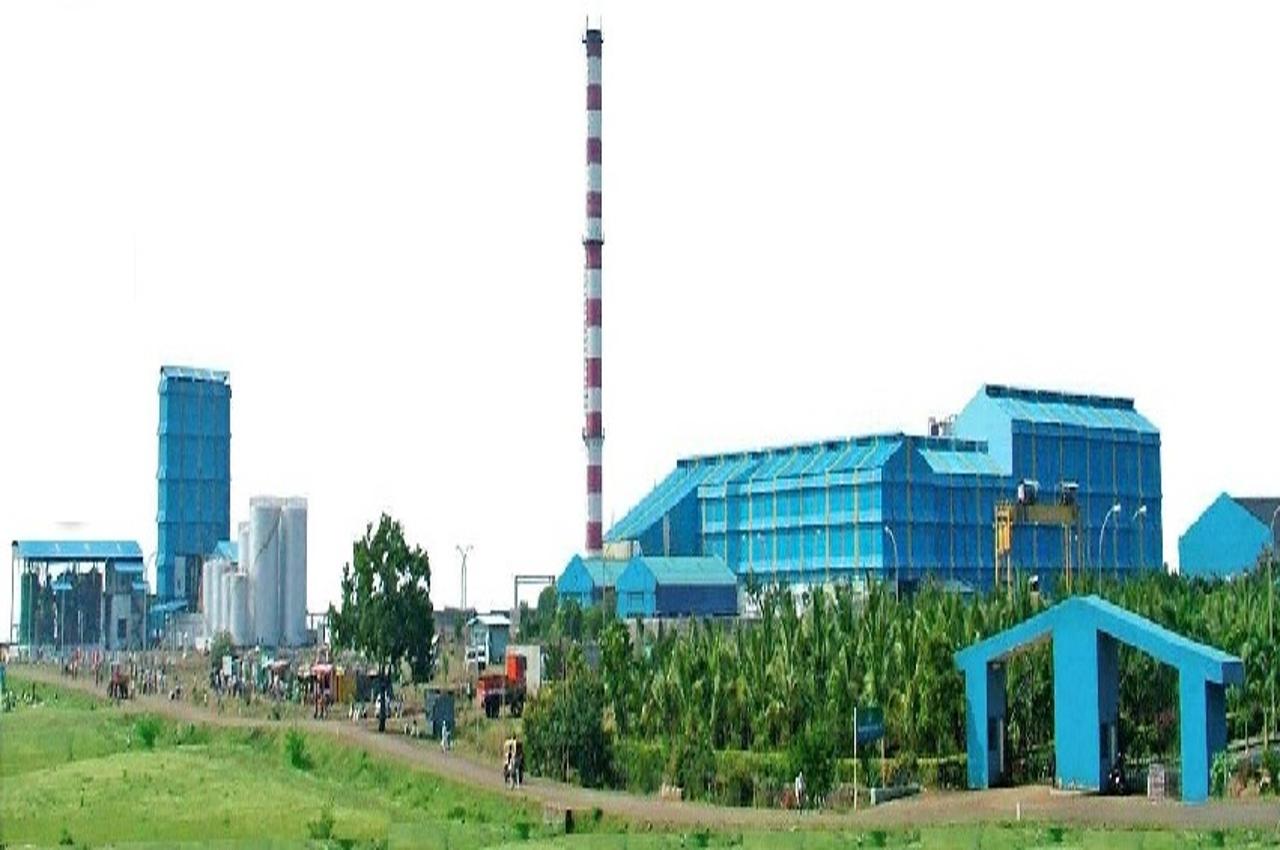 Resized Sugar Plant 1280x8501